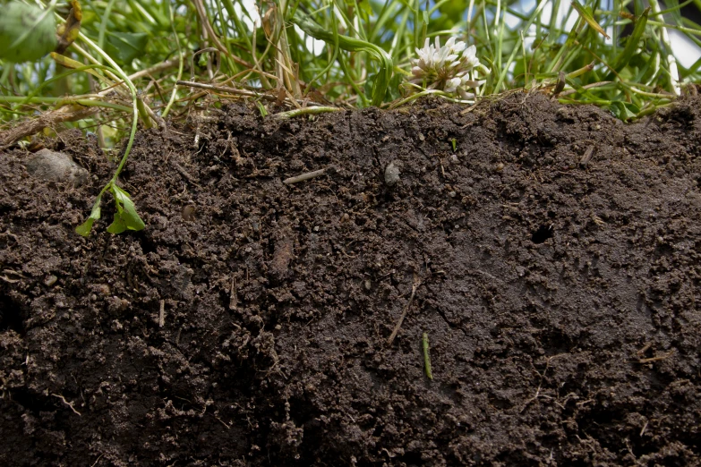 the top portion of a lawn that has been buried in dirt