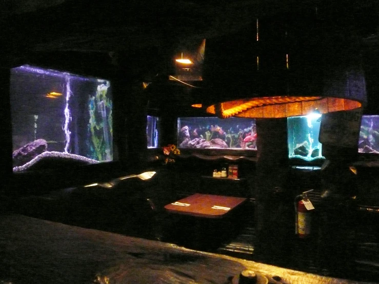 an illuminated room that contains large fish in it