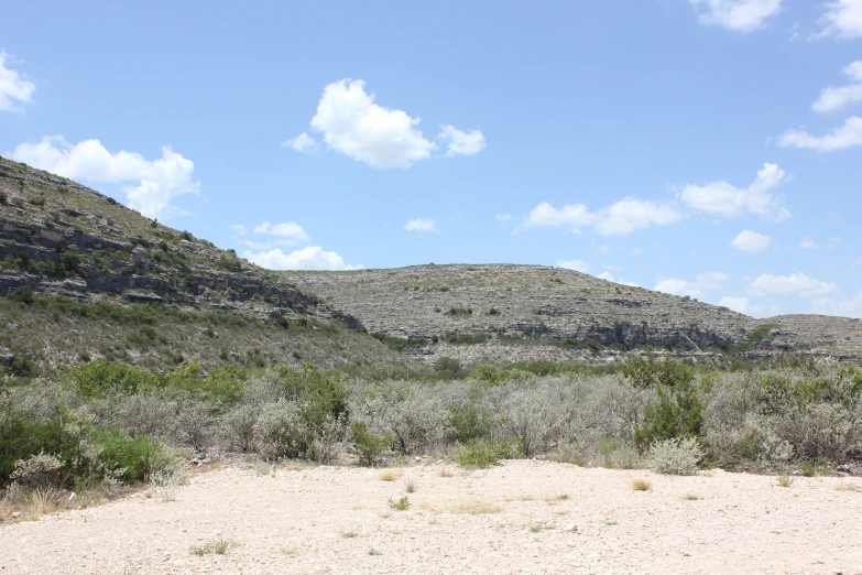 a hillside is seen in this image with shrubs and shrubs