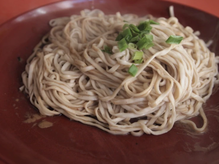 a bowl that has noodles in it