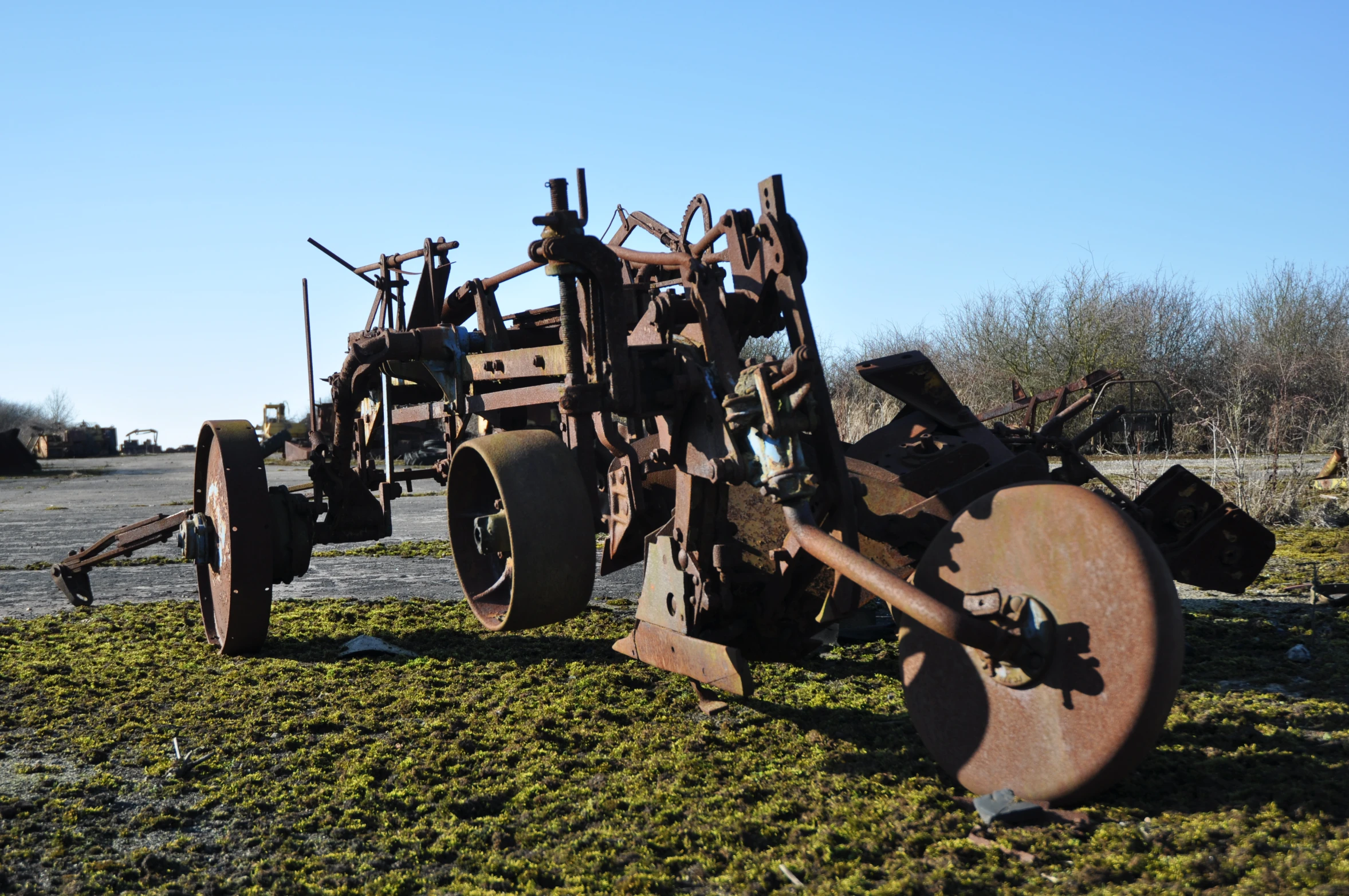 two old farm tractors and some grass