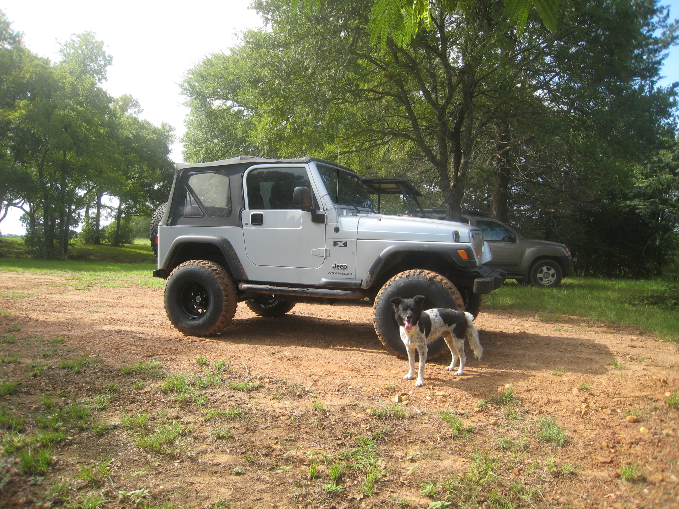 a jeep and a dog standing by it in the park