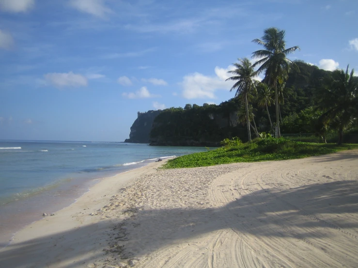 a sandy beach with blue water and some trees