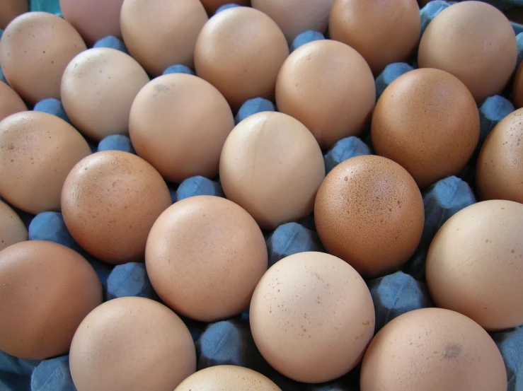 an image of many eggs in a bowl