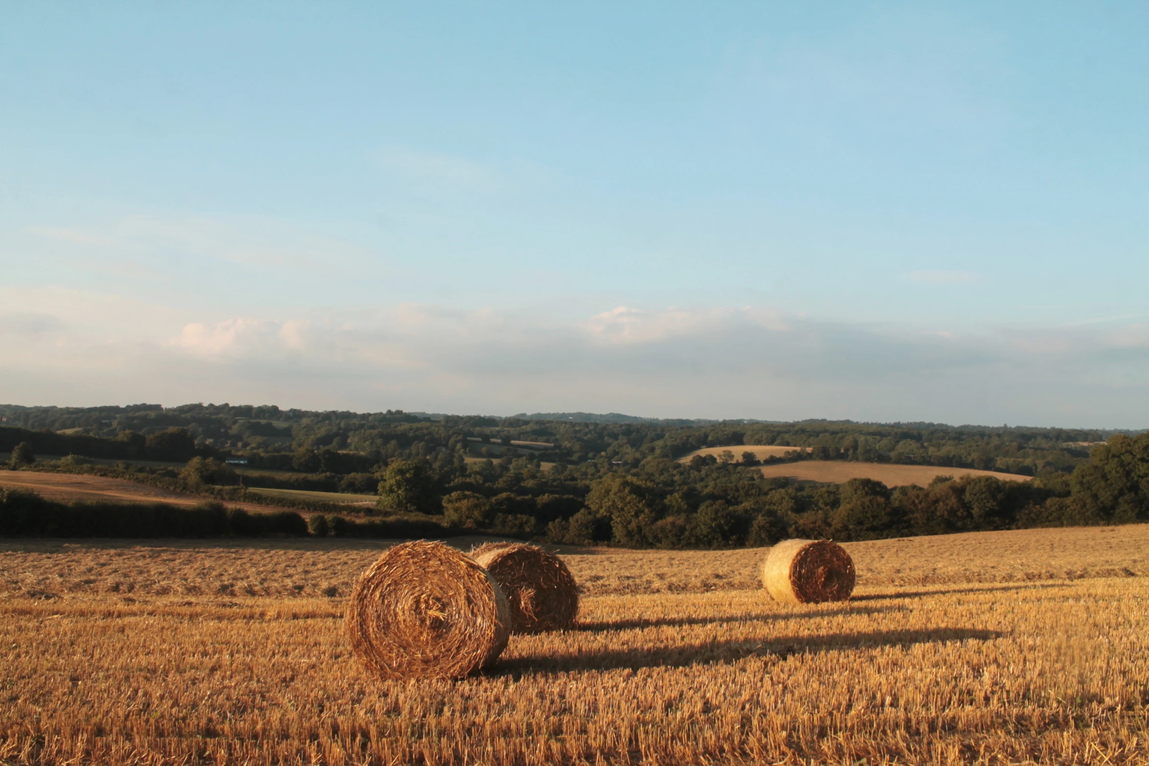 some hay bails in a field with trees in the background