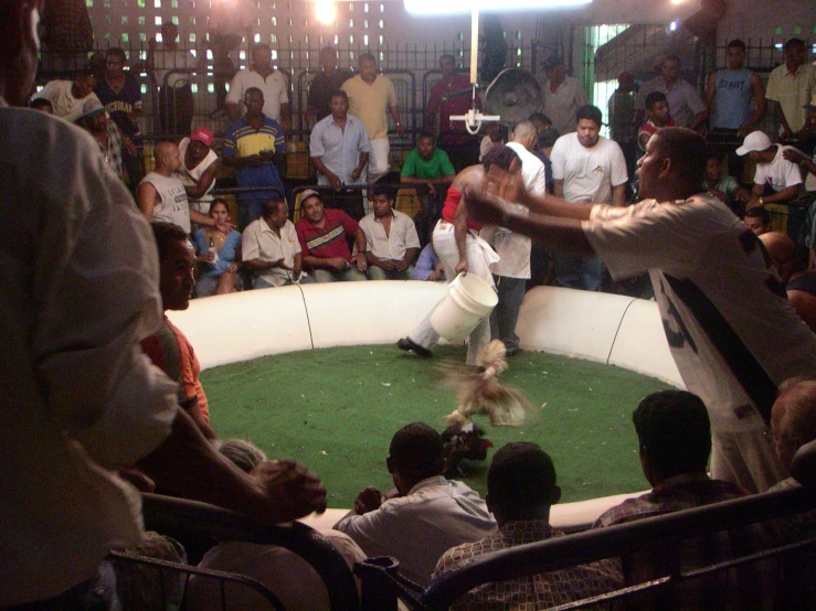 two dog fighting in an enclosed area surrounded by people