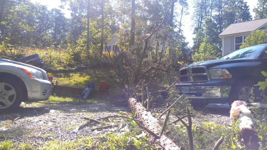 two cars parked in a lot surrounded by trees