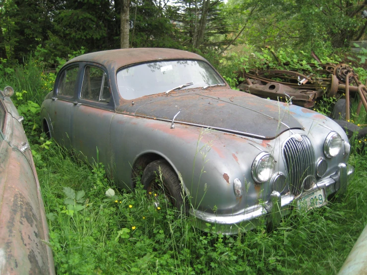 the old car is parked in the grass by trees