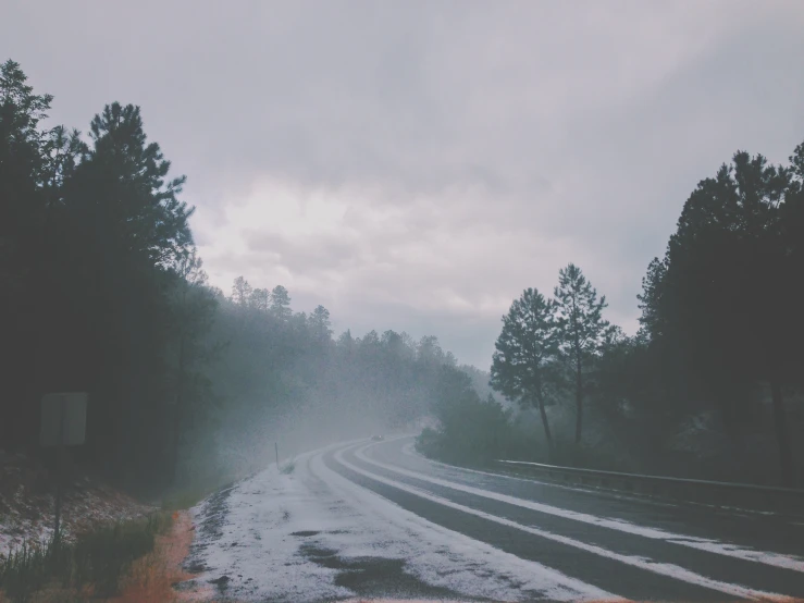 a wet road surrounded by trees with a cloudy sky