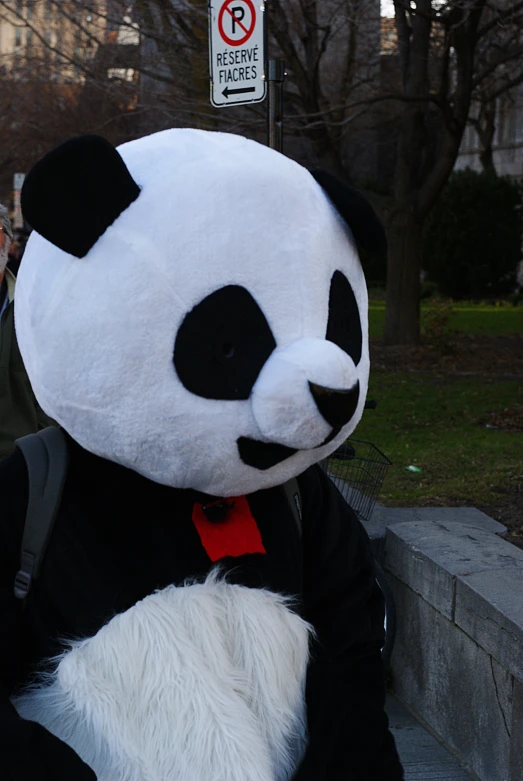 a giant panda bear sitting down on concrete