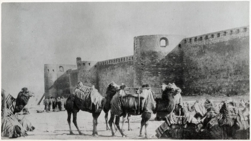 an old picture of camels in front of a building