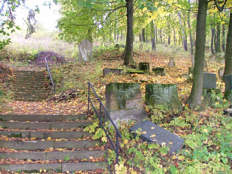 a group of concrete stairs that have been placed in the middle of some bushes