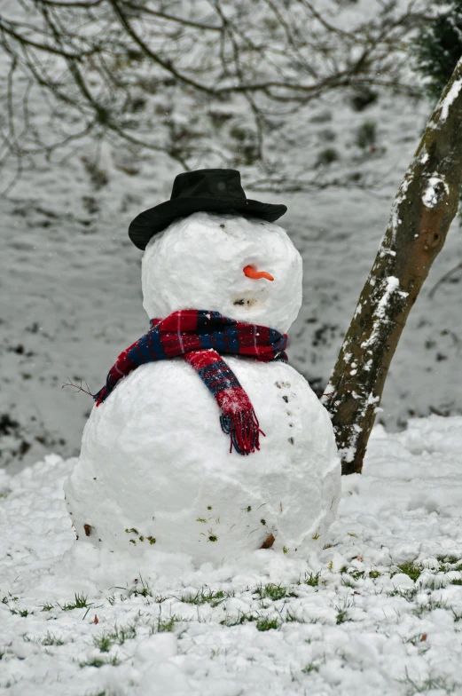 the snow man is wearing a black hat
