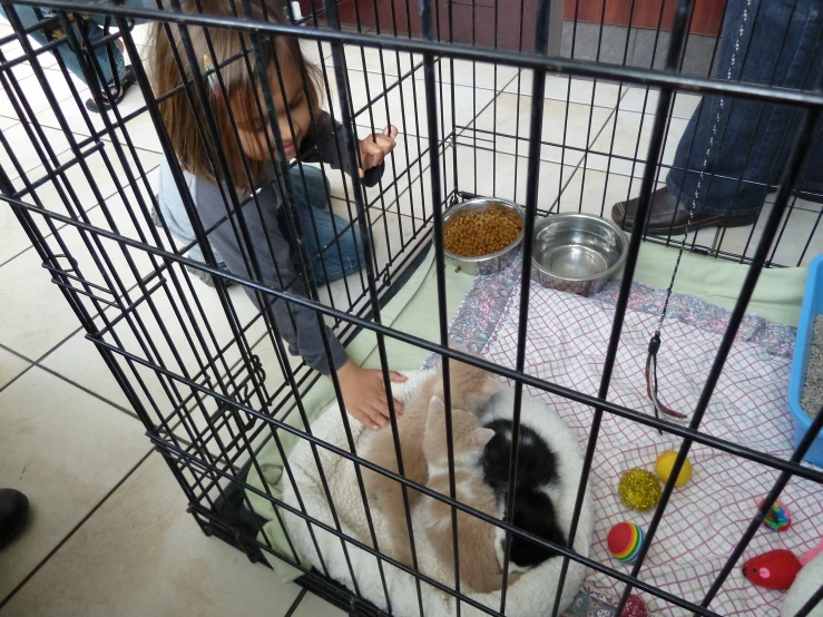 a woman petting her puppy in an enclosure