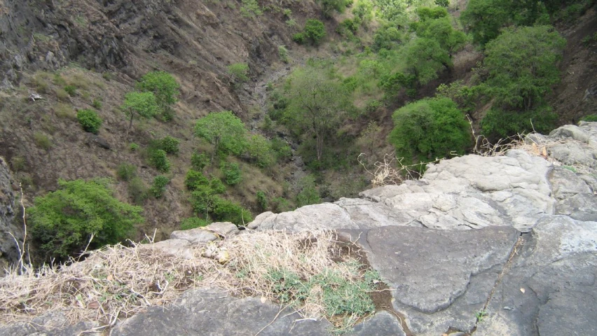 a close s of some rocks and trees