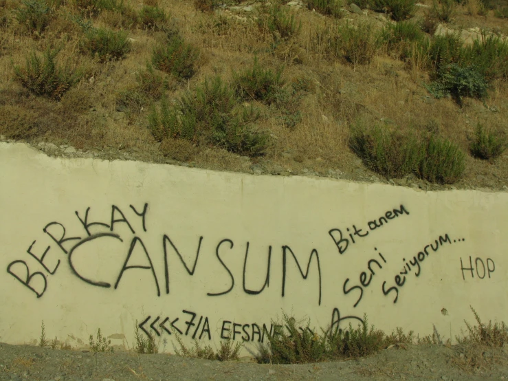 a wall with graffiti written on it near a hill