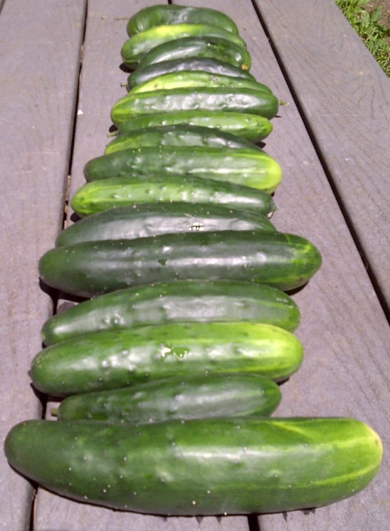 some cucumbers are laying down on a picnic table