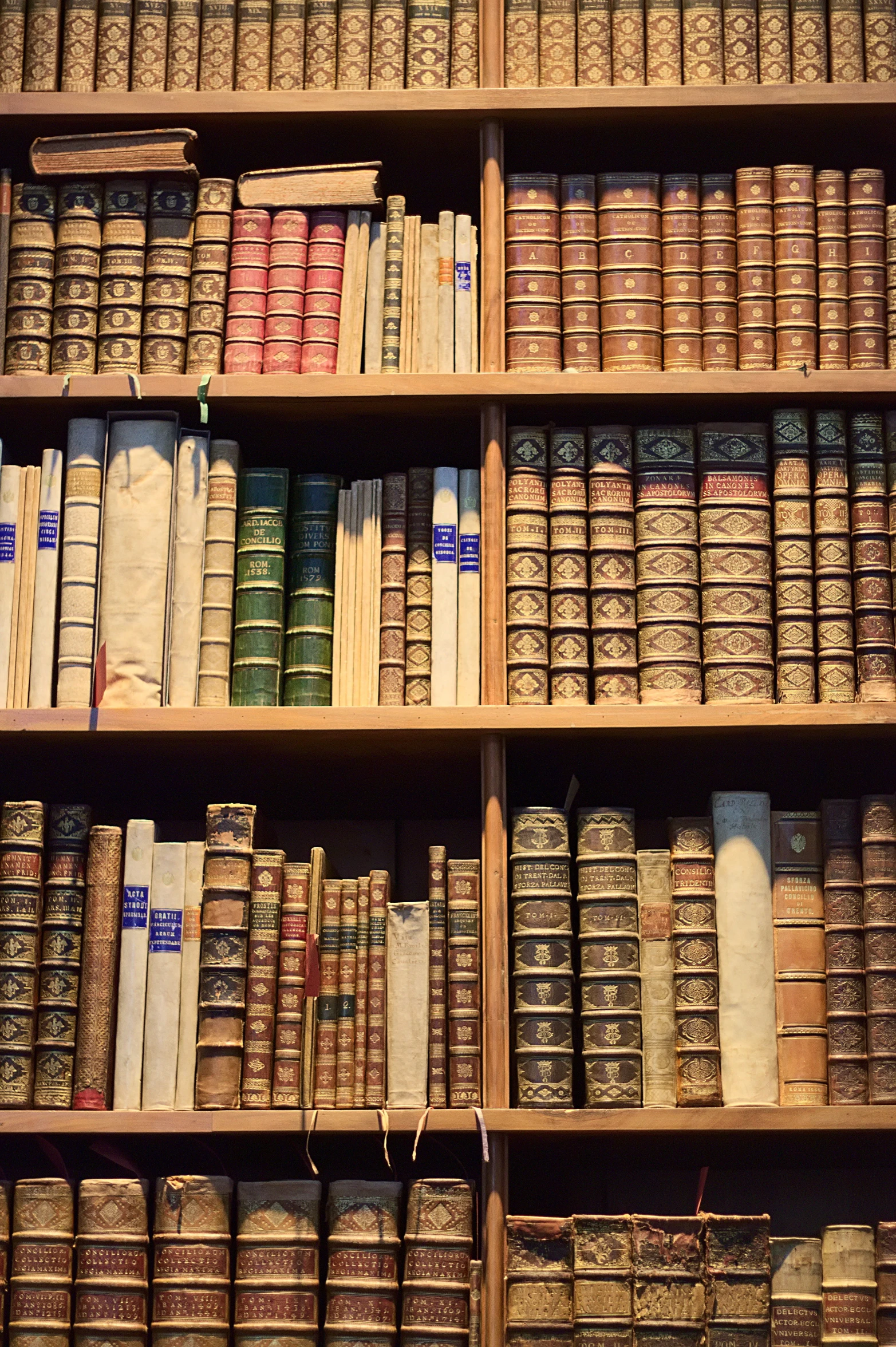 a close up of many books on wooden shelves