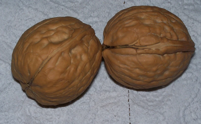 two walnuts are one in the middle and the other in the background