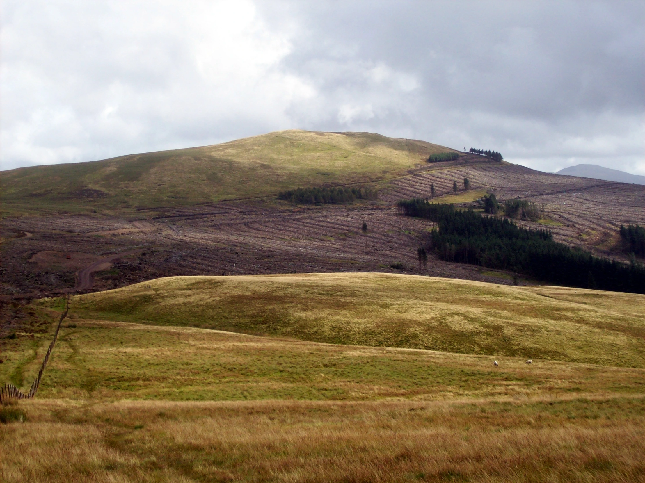 a mountain with a few trees on top