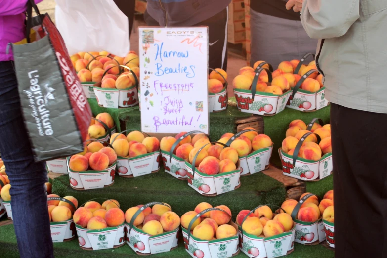 the fresh peaches are ready for sell at the market