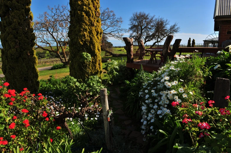 garden scene with garden furniture, and colorful flowers