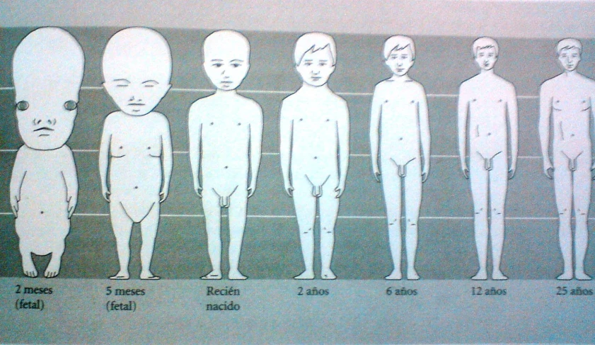 some illustrations have figures in different sizes with faces