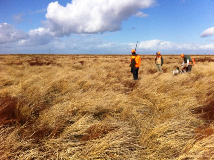 men in orange shirts in a large field