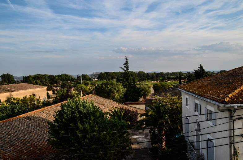 a view of a tree covered area from above