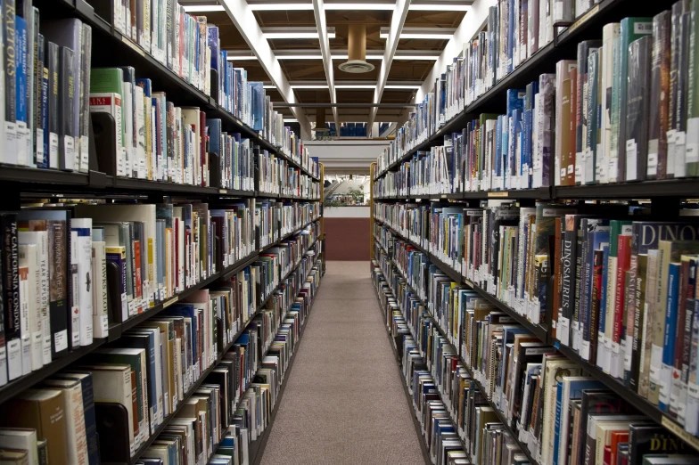 many books on shelves are lined up together