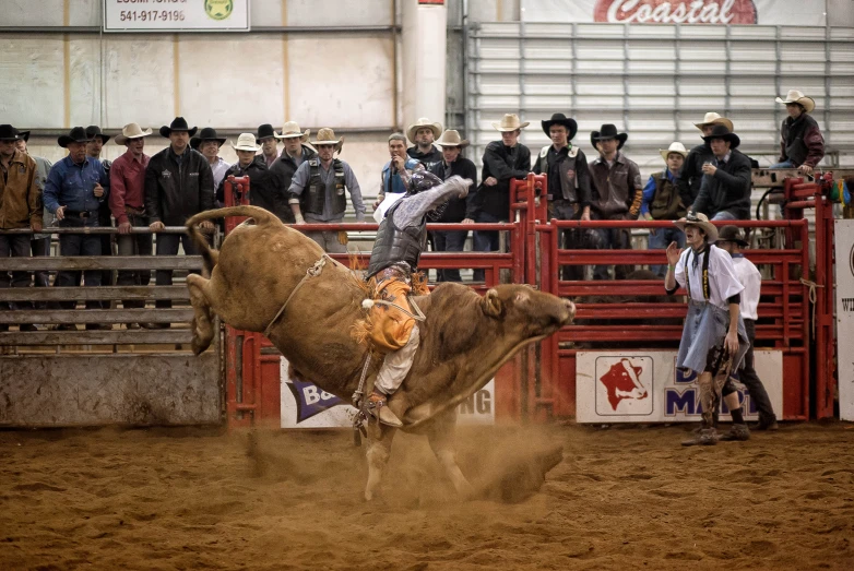 a man on a bucking bull at a rodeo