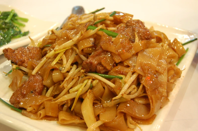 a plate filled with chow mein noodles with meat