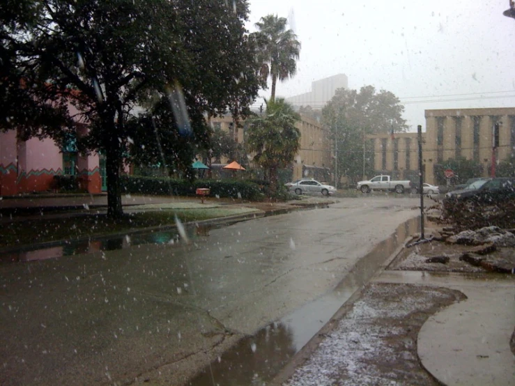 a street is flooded by rain with palm trees