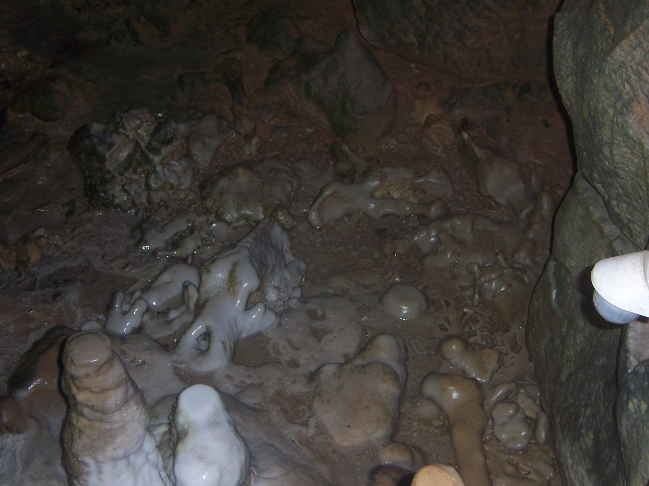 a pair of white shoes are in a stream of water