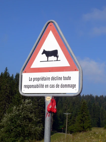 a street sign warning about cows being allowed on a highway