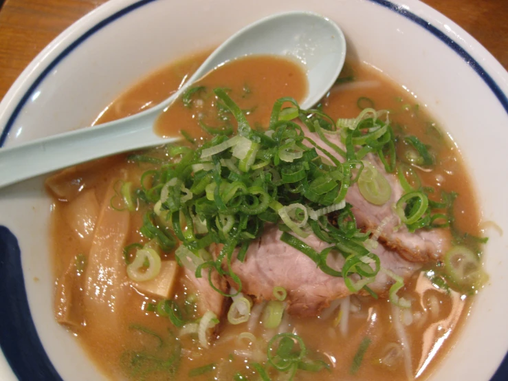 a soup with vegetables and meat in a bowl