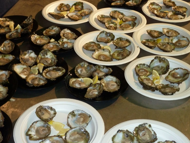 several plates with various oysters on them sitting on a table