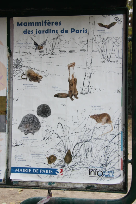 an information sign displaying animals found in france