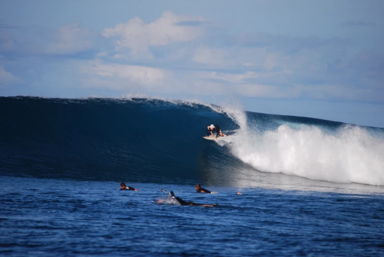 a group of people riding surfboards on a wave