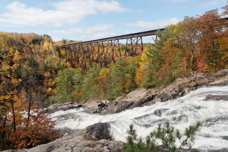 a bridge that is above water near some trees