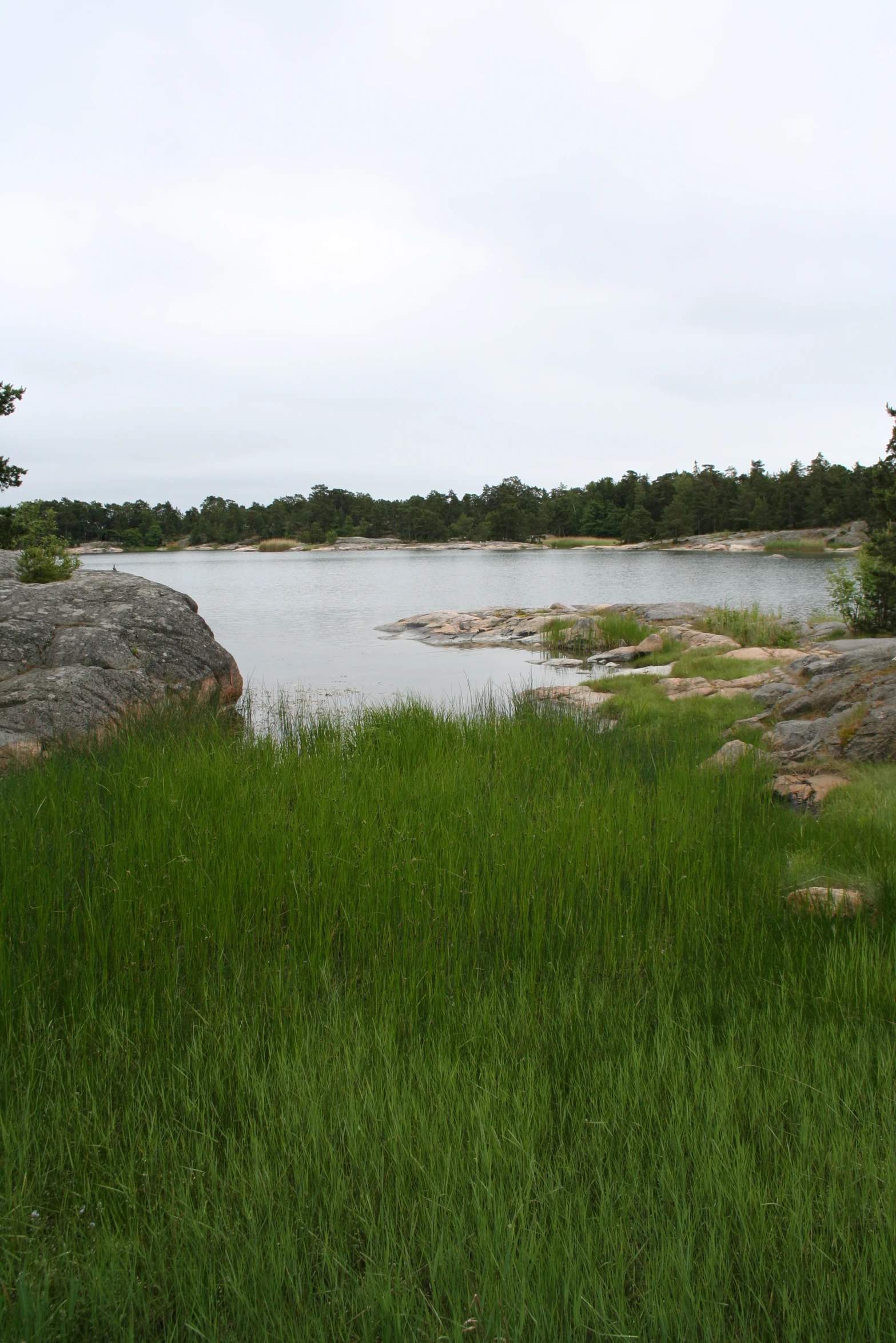 there is a large pond surrounded by some rocks