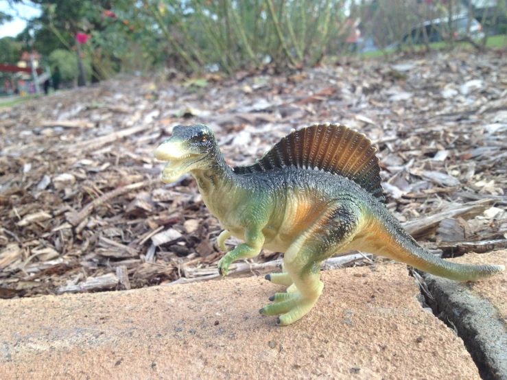 a plastic toy t - rex on the ground with grass and trees in the background