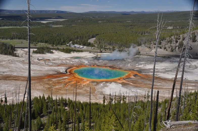 yellowstone  spring in the wyoming mountains, united states