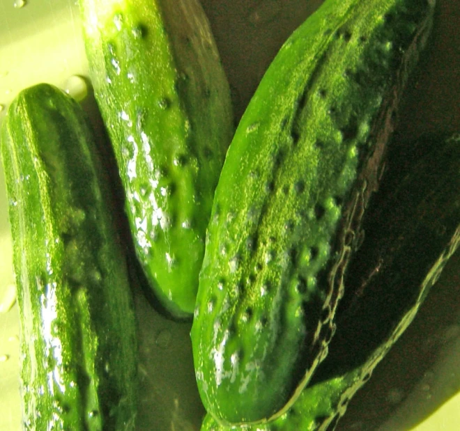 a close up image of green pickles in a sink