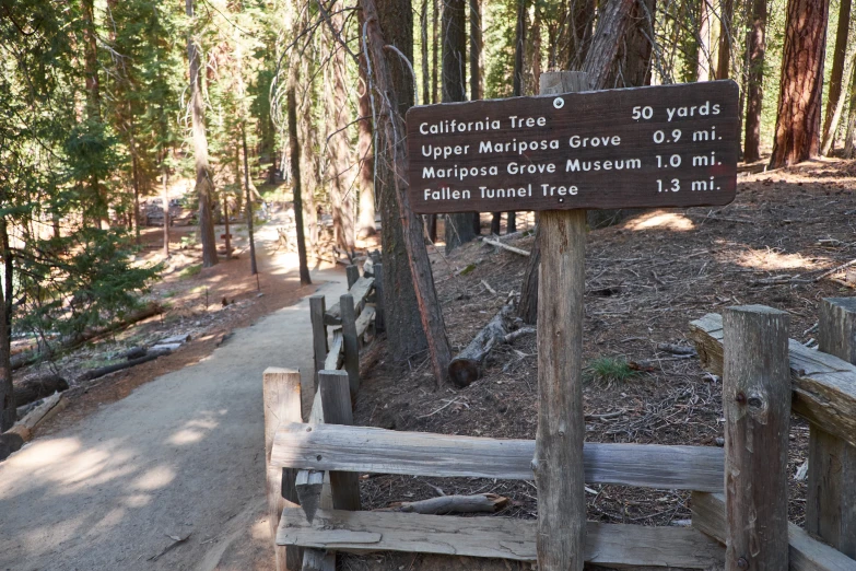 sign in forest with wooden fence stating distance