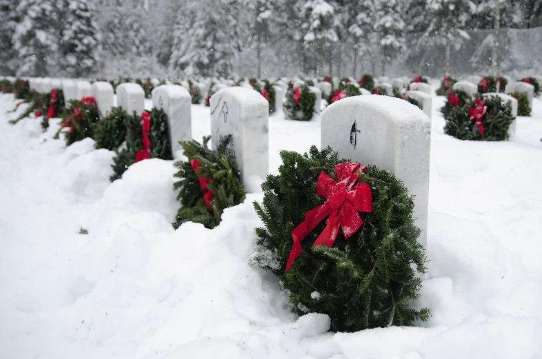 wreaths in the snow, with a red ribbon and bow