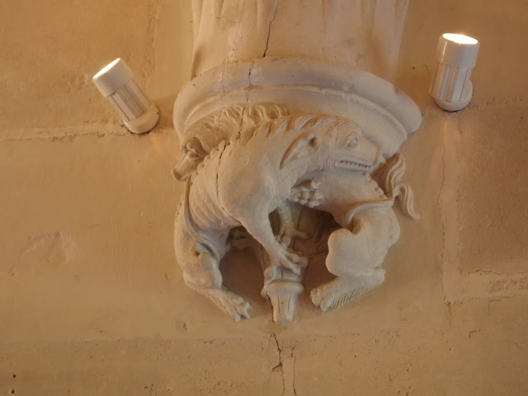 a carving of a boar sits on the wall