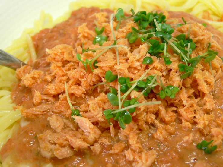 pasta covered in shredded meat and garnish sits on a white plate