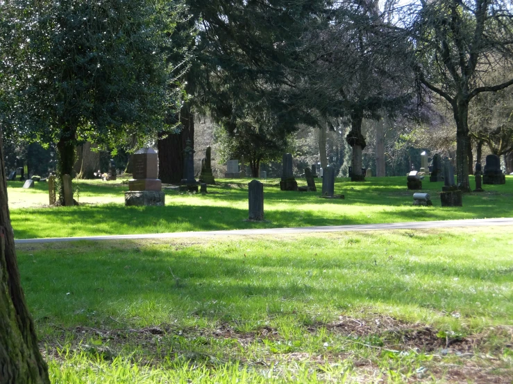 a small cemetery in the middle of a green park