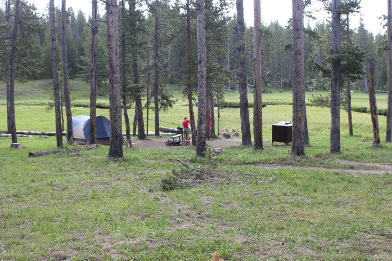 a camping area is seen near a wooded area